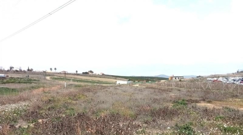 Seville - Villaverde del Río - 5500m2