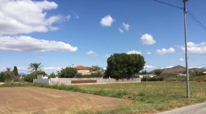 Murcia - Murcia - 2362m2