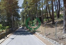 San Lorenzo de El Escorial 600&nbsp;m²