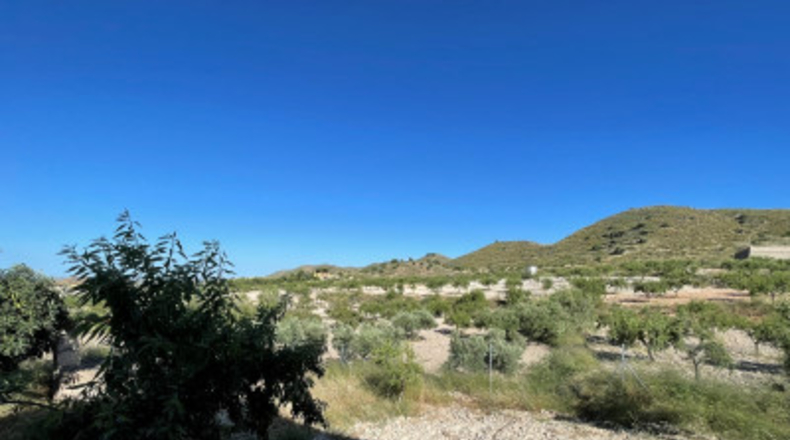 Murcia - Cartagena - 58000m2