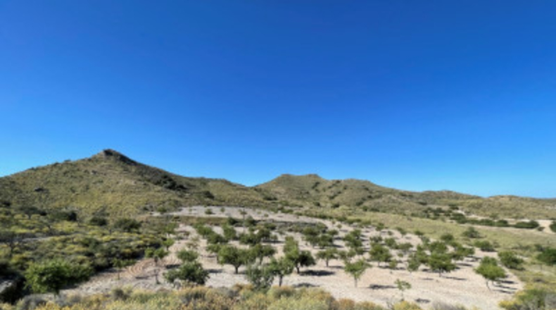 Murcia - Cartagena - 58000m2