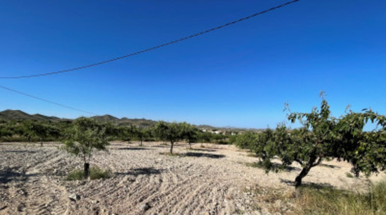 Murcia - Cartagena - 58000m2