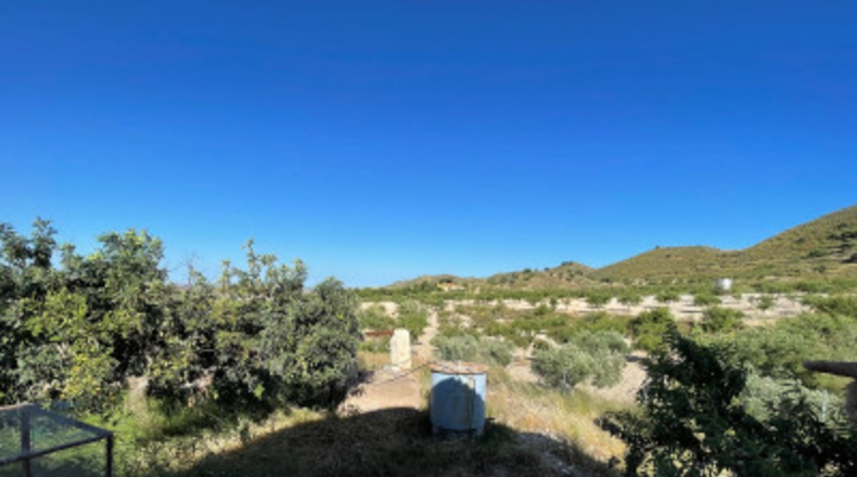 Murcia - Cartagena - 58000m2