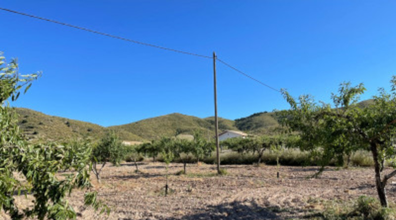 Murcia - Cartagena - 58000m2