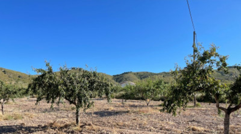 Murcia - Cartagena - 58000m2