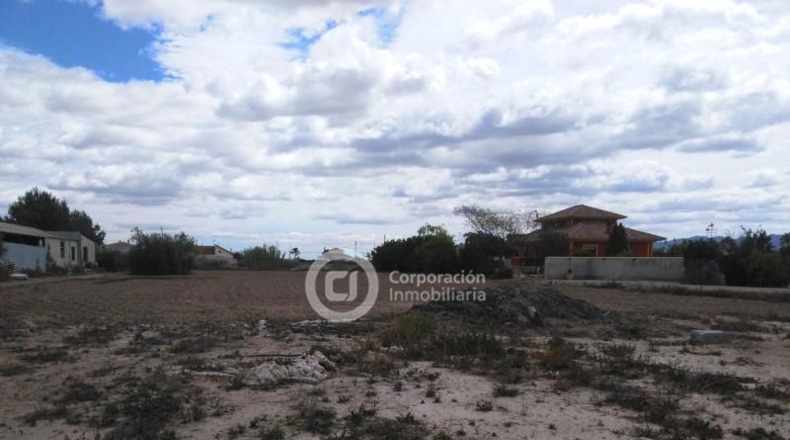 Murcia - Lorca - 4700m2