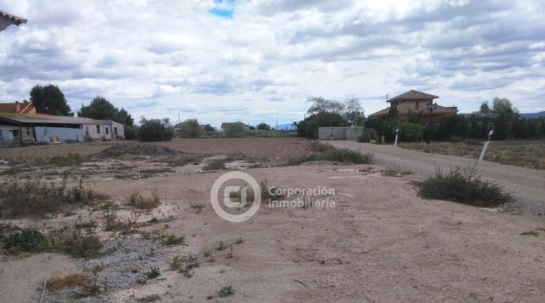 Murcia - Lorca - 4700m2