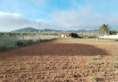 Urban land for sale on España, Porreras, ref: TR316298 photo