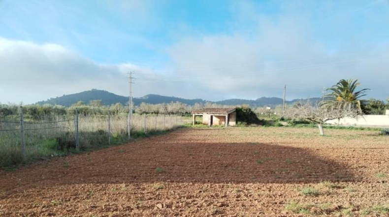 Islas Baleares - Porreres - 600m2