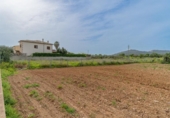 Urban land for sale on España, Porreras, ref: TR316298 photo