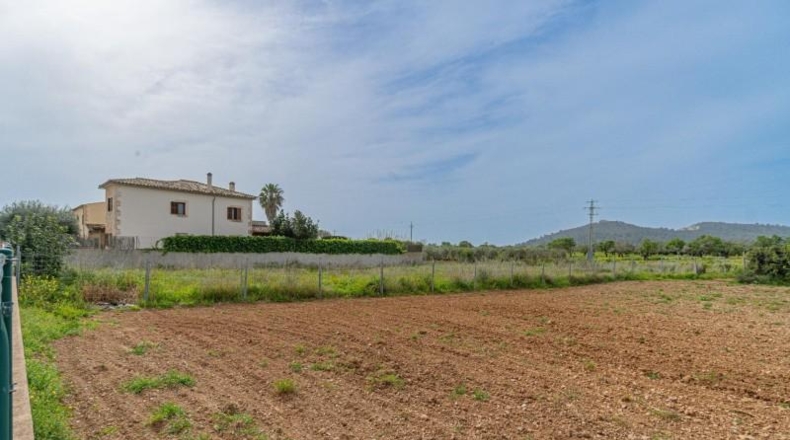 Islas Baleares - Porreres - 600m2