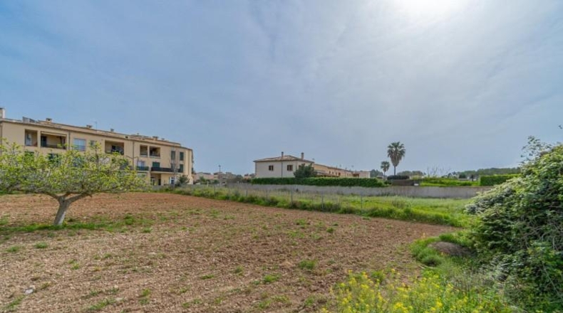 Islas Baleares - Porreres - 600m2