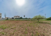 Urban land for sale on España, Porreras, ref: TR316298 photo