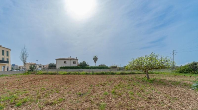 Islas Baleares - Porreres - 600m2