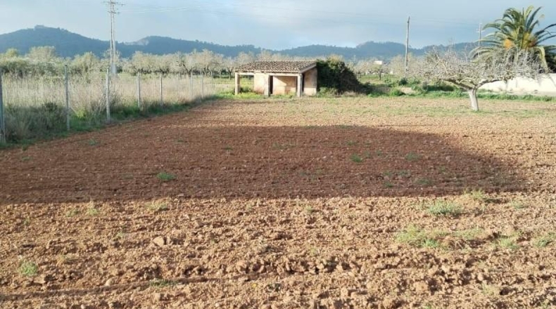 Islas Baleares - Porreres - 600m2