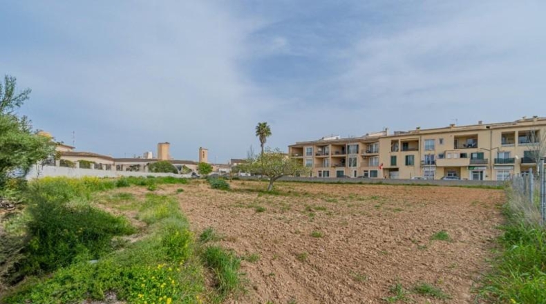 Islas Baleares - Porreres - 600m2