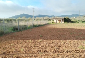 Foto 9