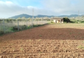 Urban land for sale on España, Porreras, ref: TR316298 photo