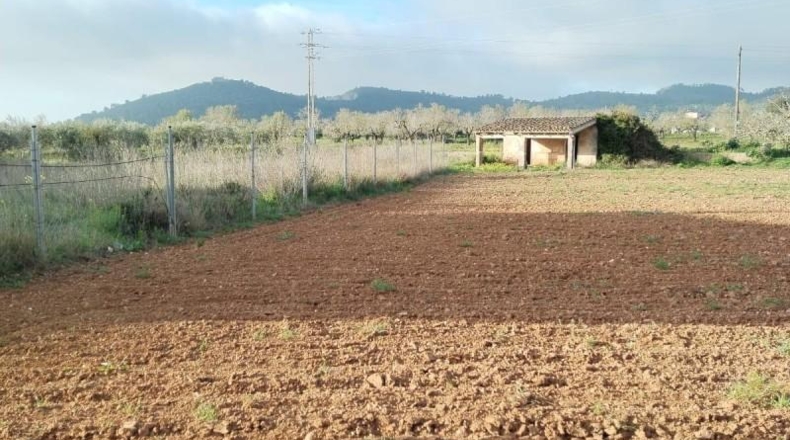 Islas Baleares - Porreres - 600m2