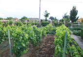 Chalet independiente con terreno en venta en la España, Grijota, ref: TR138336 foto