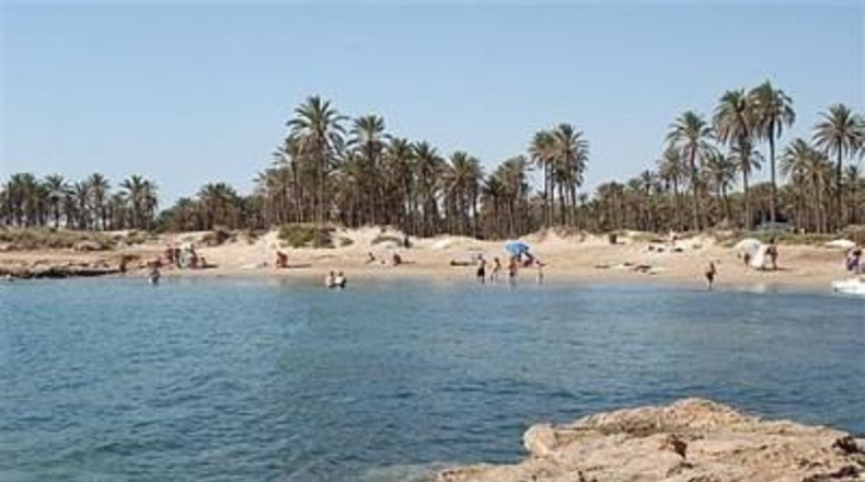 Alicante - Torrevieja - 420m2