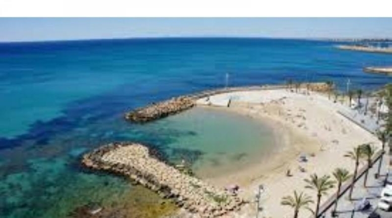 Alicante - Torrevieja - 420m2