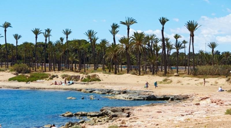 Alicante - Torrevieja - 420m2