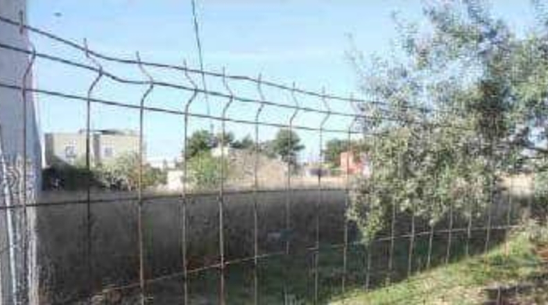Castellón - Almassora - 1654m2