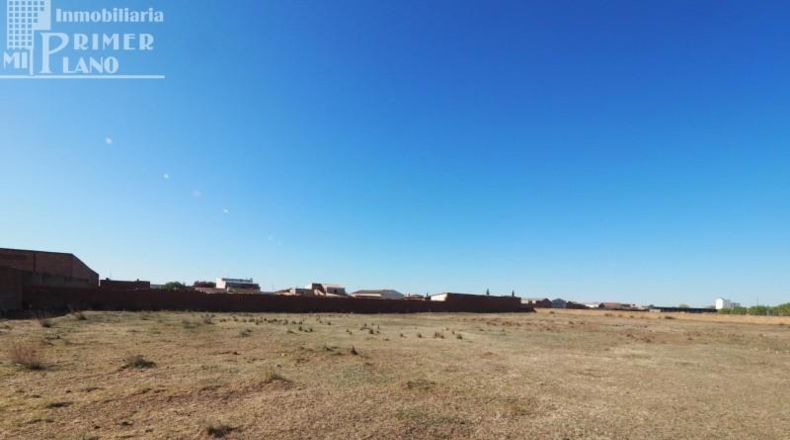 Ciudad Real - Argamasilla de Alba - 8197m2