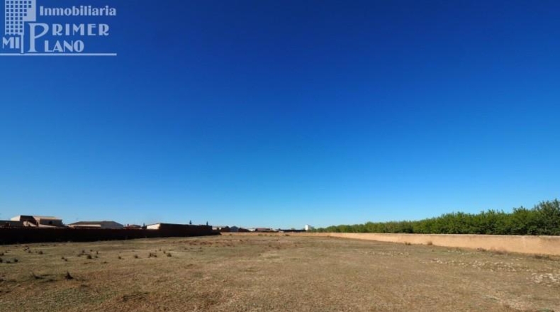 Ciudad Real - Argamasilla de Alba - 8197m2