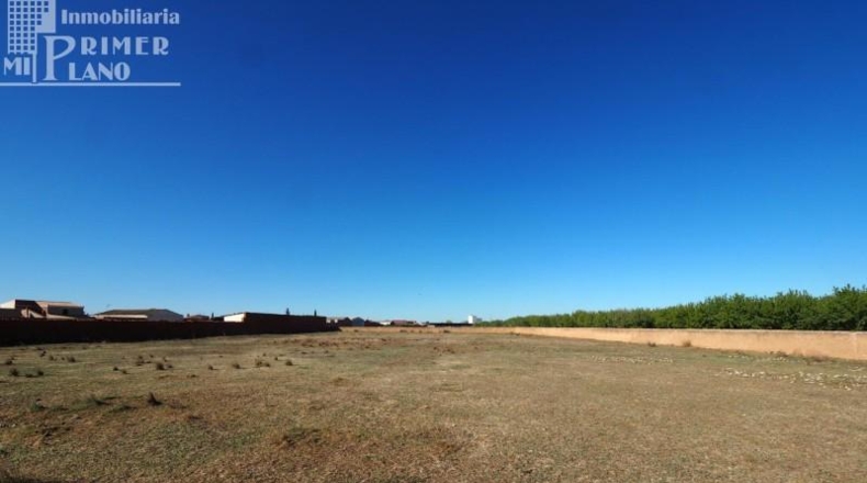 Ciudad Real - Argamasilla de Alba - 8197m2