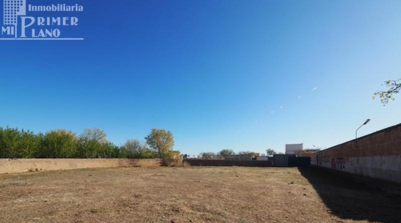 Ciudad Real - Argamasilla de Alba - 8197m2