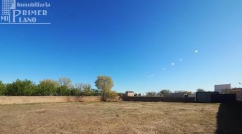 Ciudad Real - Argamasilla de Alba - 8197m2