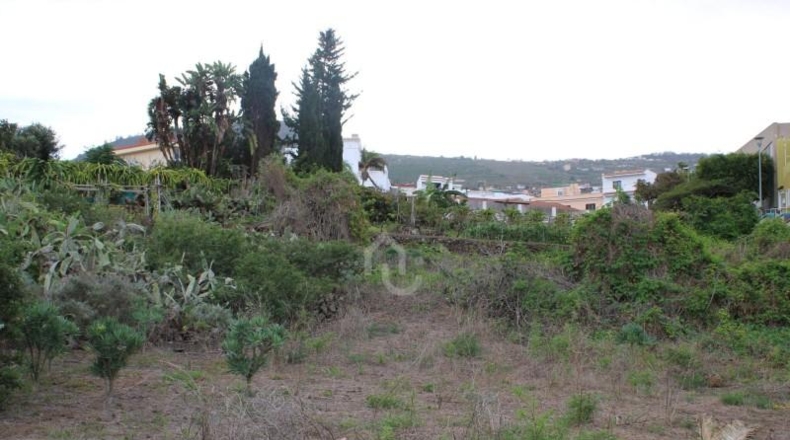 Santa Cruz de Tenerife - Tegueste - 1150m2
