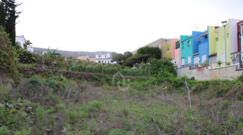 Santa Cruz de Tenerife - Tegueste - 1150m2
