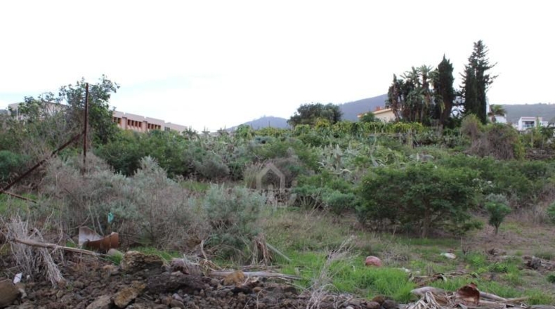 Santa Cruz de Tenerife - Tegueste - 1150m2