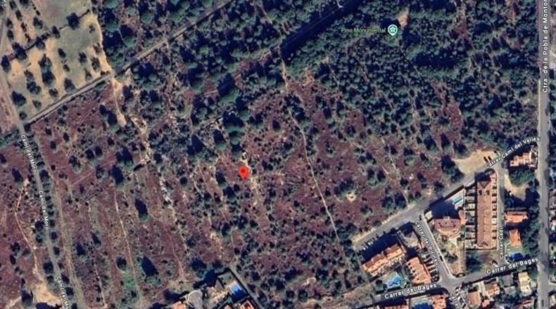 Tarragona - Torredembarra - 15985m2