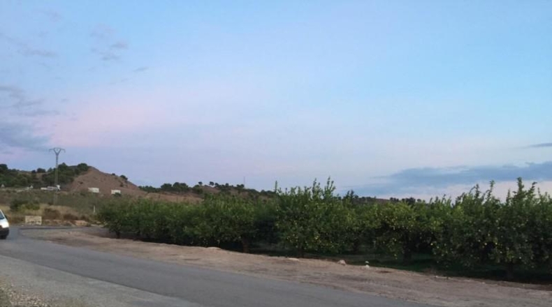 Múrcia - Murcia - 13m2