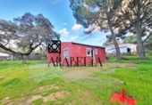 Casa de camp amb terreny en venda a la España, Còrdova, ref.: TR288602 foto