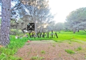 Casa de camp amb terreny en venda a la España, Còrdova, ref.: TR288602 foto