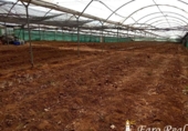 Terreny no urbanitzable en venda a la España, Sanlúcar de Barrameda, ref.: TR177399 foto