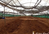 Terreny no urbanitzable en venda a la España, Sanlúcar de Barrameda, ref.: TR177399 foto