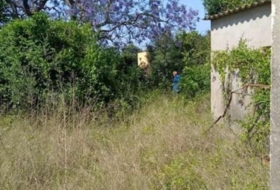 Benicarló 2879&nbsp;м²