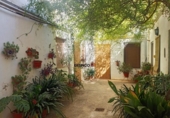 Village house for sale on España, Aielo de Malferit, ref: TR296009 photo