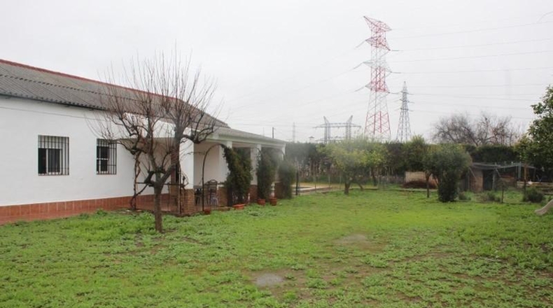 Córdoba - Córdoba - 1500m2