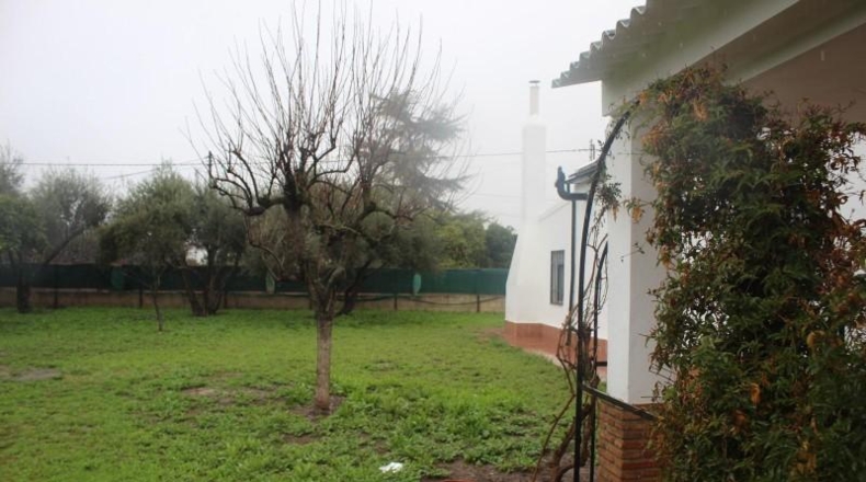 Córdoba - Córdoba - 1500m2