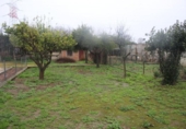 Casa de camp amb terreny en venda a la España, Còrdova, ref.: TR152518 foto