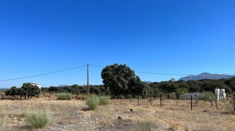 Málaga - Ronda - 12090m2