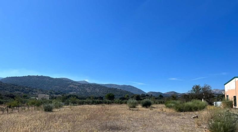 Málaga - Ronda - 12090m2