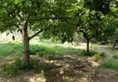 Загородный дом с участком на продажу в городе Cascante Фото